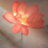 新都京东日结/分拣/装卸