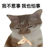 西餐学徒/西餐厨师