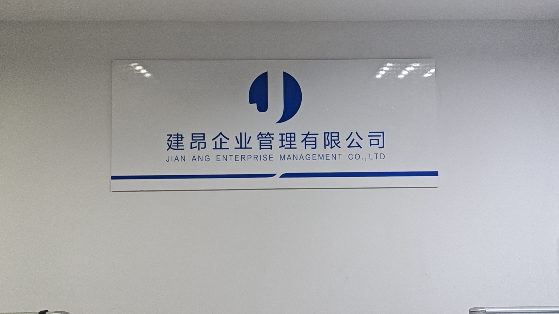 魚泡網