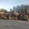 惠州惠阳区招工地力工1个