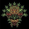 高压试验，继保试验