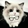 送水果蔬菜一天300，只送一家