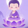 主播（大健康/中医）
