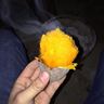 项目融资经理