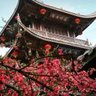 郴州北湖区招水电要求会烧焊。