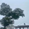 六安裕安区招弱电/安防/安防通信光缆施工队，光缆铺设，熔接。(只要长期稳队伍，管道施工队，线路迁改，