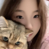 视频主播