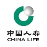 内勤人力资源专员