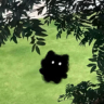 视频运营