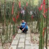 昭通镇雄县果珠乡云岭附近一带找木工包工师傅。4到6人一个班组。私人农村矮层建筑主体，长期有活，需要师傅