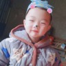 上海鸿狮汽车招聘C照货车司机