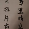 客服专员