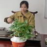 新能源燃料区域负责人