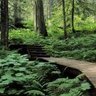 上海宝山区招工地小工/杂工