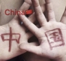 乐运供应链有限公...招聘C照货车司机