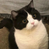 抖音直播