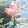 送桶装水/9000底薪加提成/提供吃住/0元入职