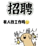 西宁城北区途虎养车工场店招人啦