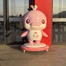 会计专员