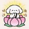 招货运司机驾驶员 不装卸 管住宿 可日结
