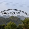 浙江金华武义县招聘标题云栖泽农场招种花养护夫妻工包吃住配夫妻房长期稳定招聘正文云栖泽农场现急招种花、
