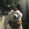 前台收银员