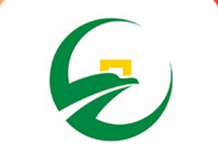 魚泡網(wǎng)