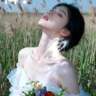 课程顾问