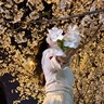 文案编辑（可居家）