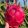 平面设计师