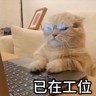 深圳市鑫启运物流...招聘C照货车司机