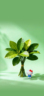 无经验学历要求，免费教学