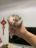 蜜雪冰城招长期岗小伙伴啦！
