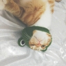 普工