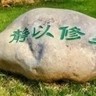黄绿新能源司机