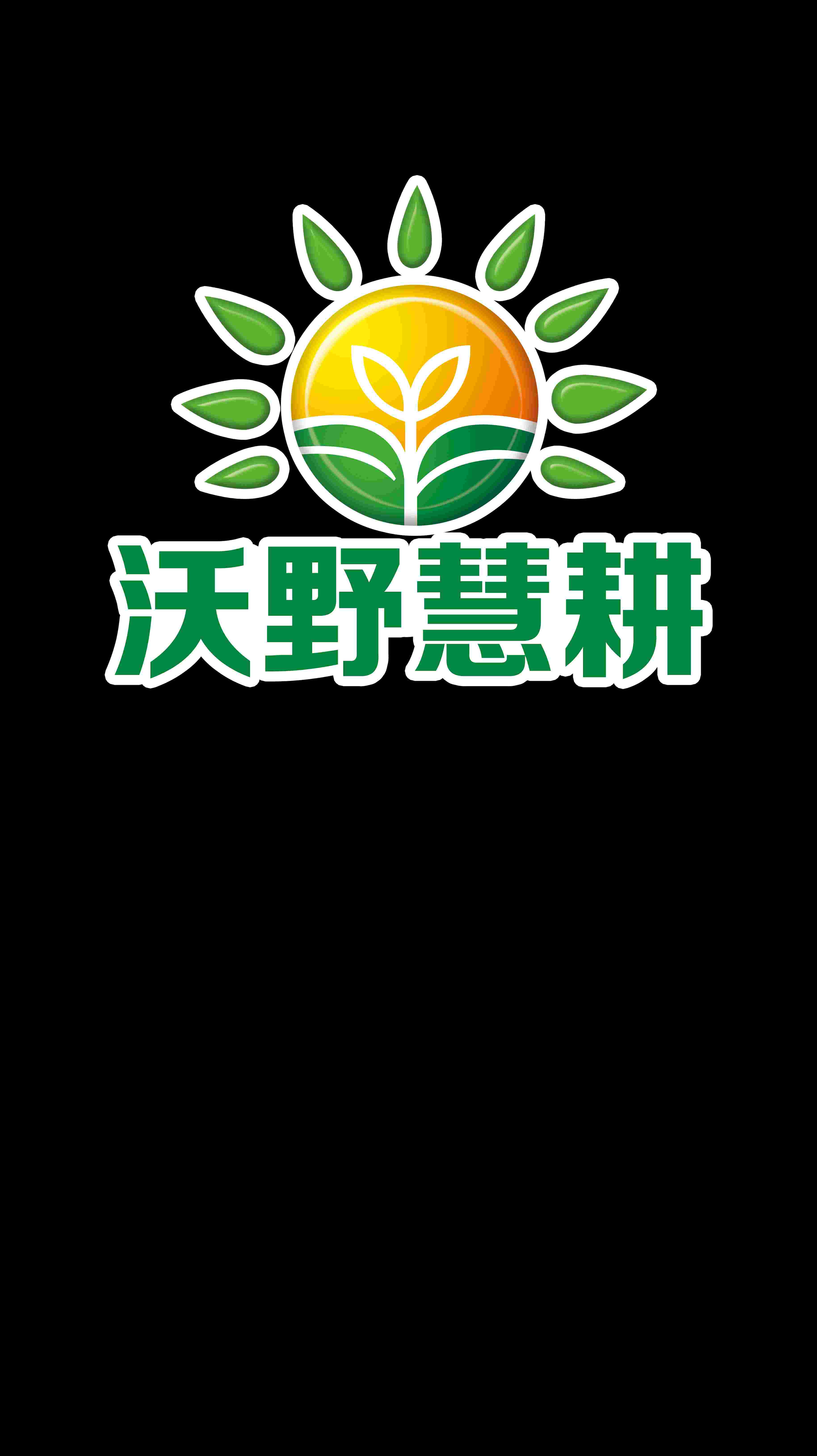 魚泡網