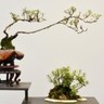 喷粉师傅
