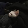 地面打磨
