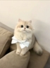 操作工，包装工