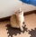 杨世海