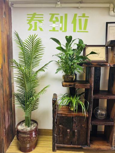 鱼泡网