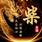 柴先生