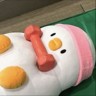 保单售后服务