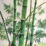 广东广州招消防电