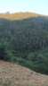 广东肇庆怀集县招砍竹工,只要砍竹工人,招两到四个人,多了不要,只招做过砍过竹子的和做过山工的,怕这怕