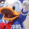 商务投标专员