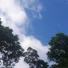 江门蓬江区招工地小工/杂工、工地力工,上沙跟水泥,打电搞,有什么做什么,260一天、吃中餐