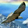 海东乐都区招打桩、光伏安装