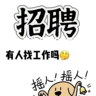 市场Bd专员