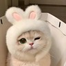 跨境电商运营